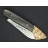 Le Thiernois: carbone/ molaire de Mammouth