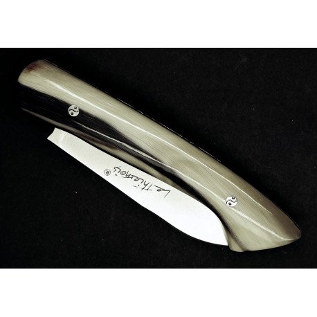 "Le Thiernois": matières aux choix